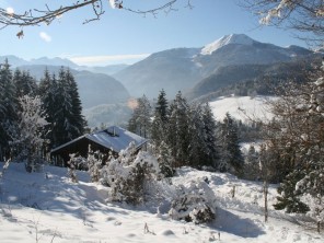 3 Bedroom Ski Chalet in France, Rhone Alps, Praz de Lys-Sommand